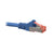 Blue CAT6A Cable with Red RJ45 S/FTP